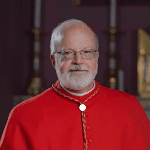 His Eminence Seán Cardinal O’Malley, OFM Cap. Archbishop of Boston